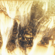 Illustration for article titled These Maps Reveal How Cities Will Erode Over Time